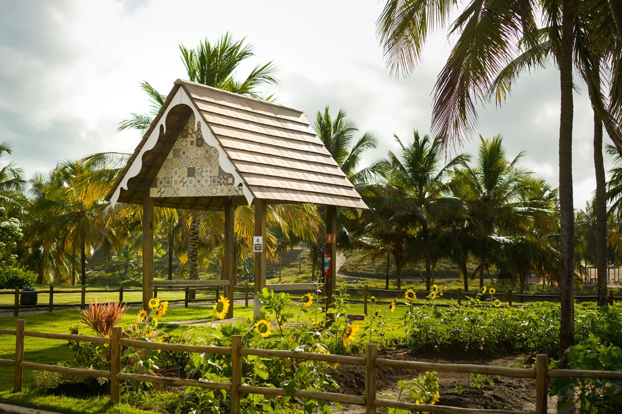 THAI-Clube-de-Praia-13